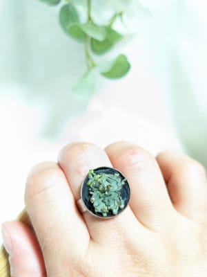 Inel reglabil, Botanical - Thumbnail 2